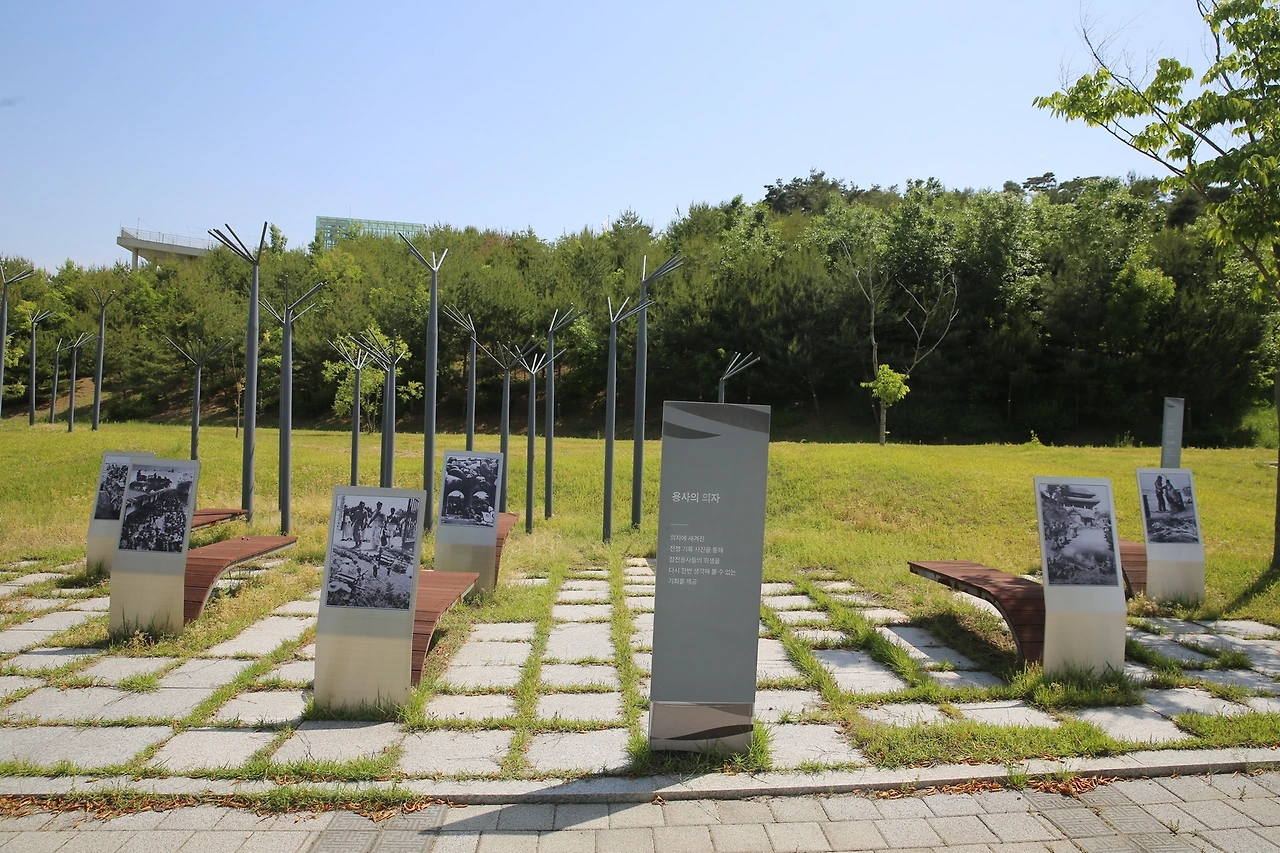 MG0A3887_новый размер.JPG