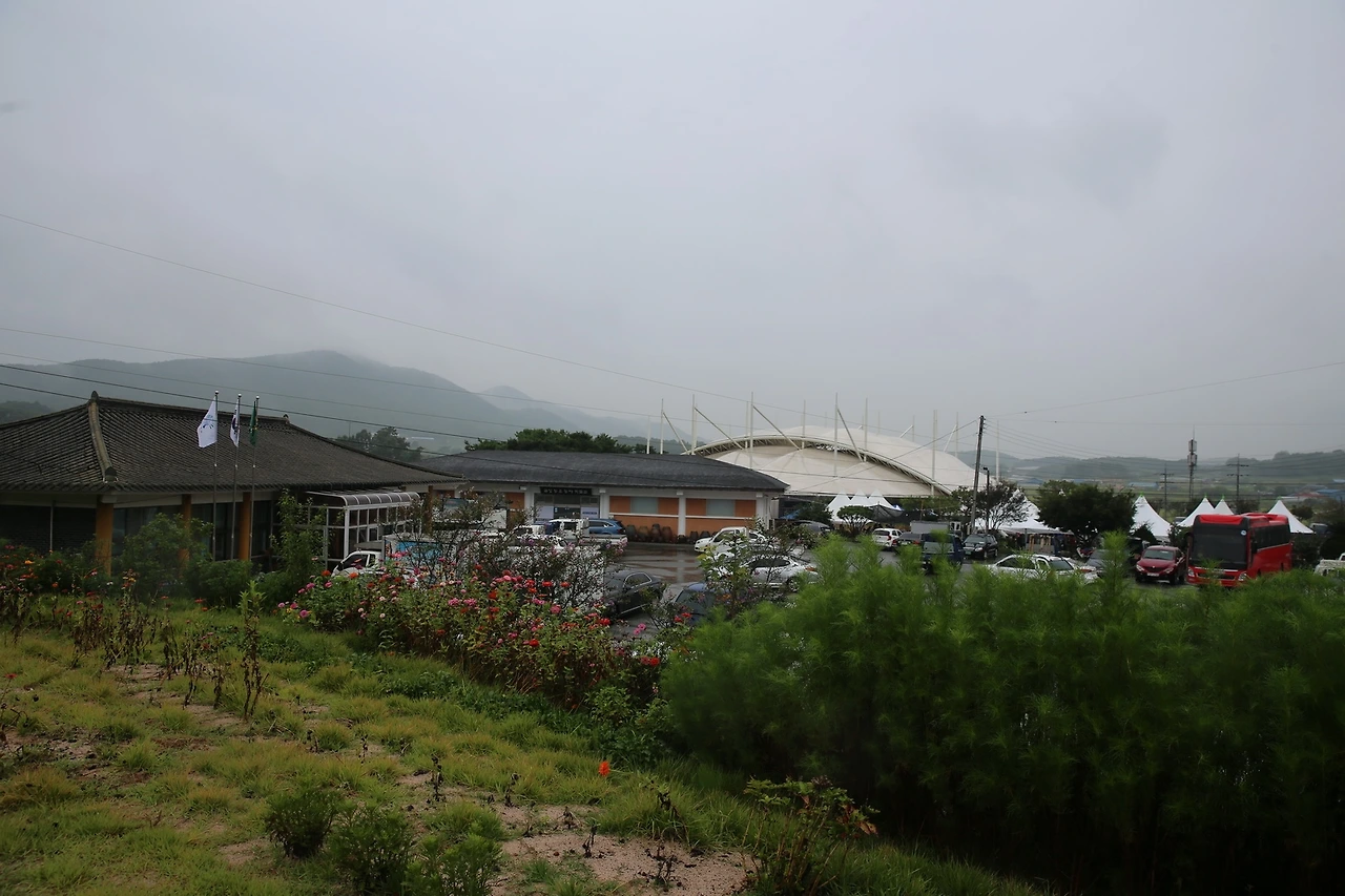 MG0A1788_новый размер.JPG