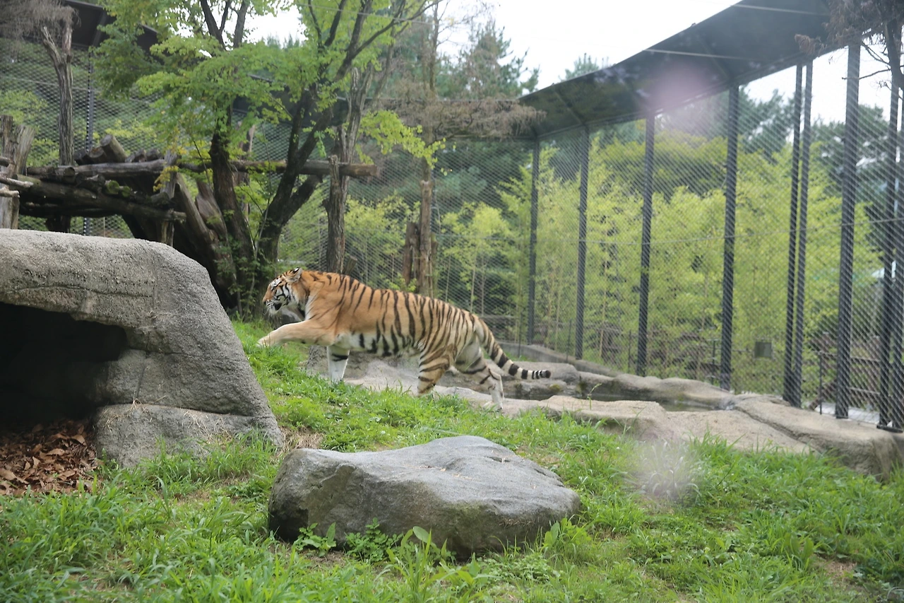 MG0A9631_новый размер.JPG