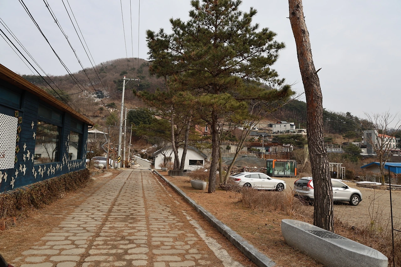 0R5A9575_новый размер.JPG