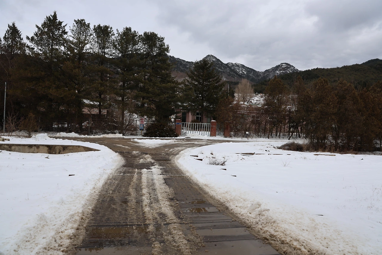 0R5A1675_новый размер.JPG