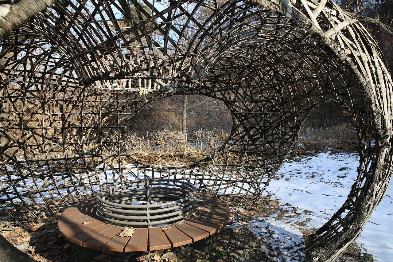 MG0A5596_новый размер.JPG