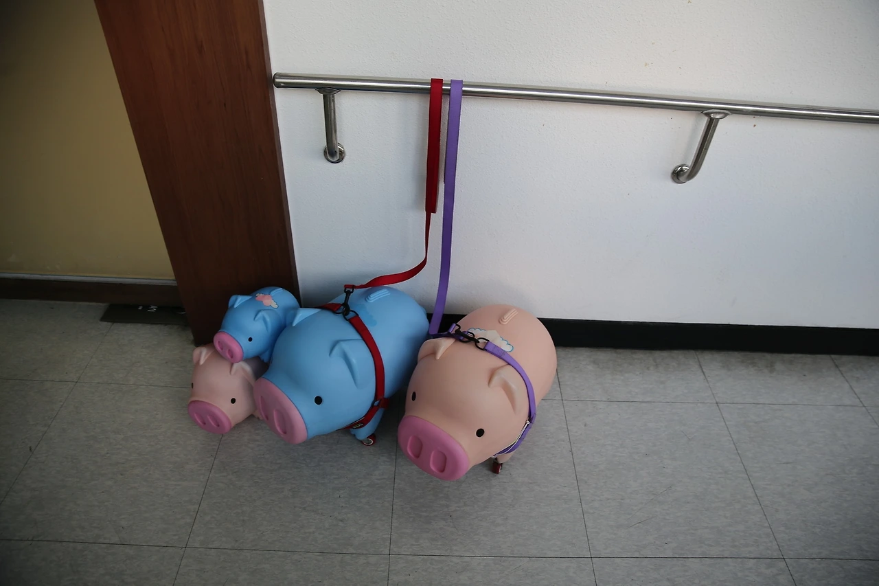 MG0A8013_новый размер.JPG