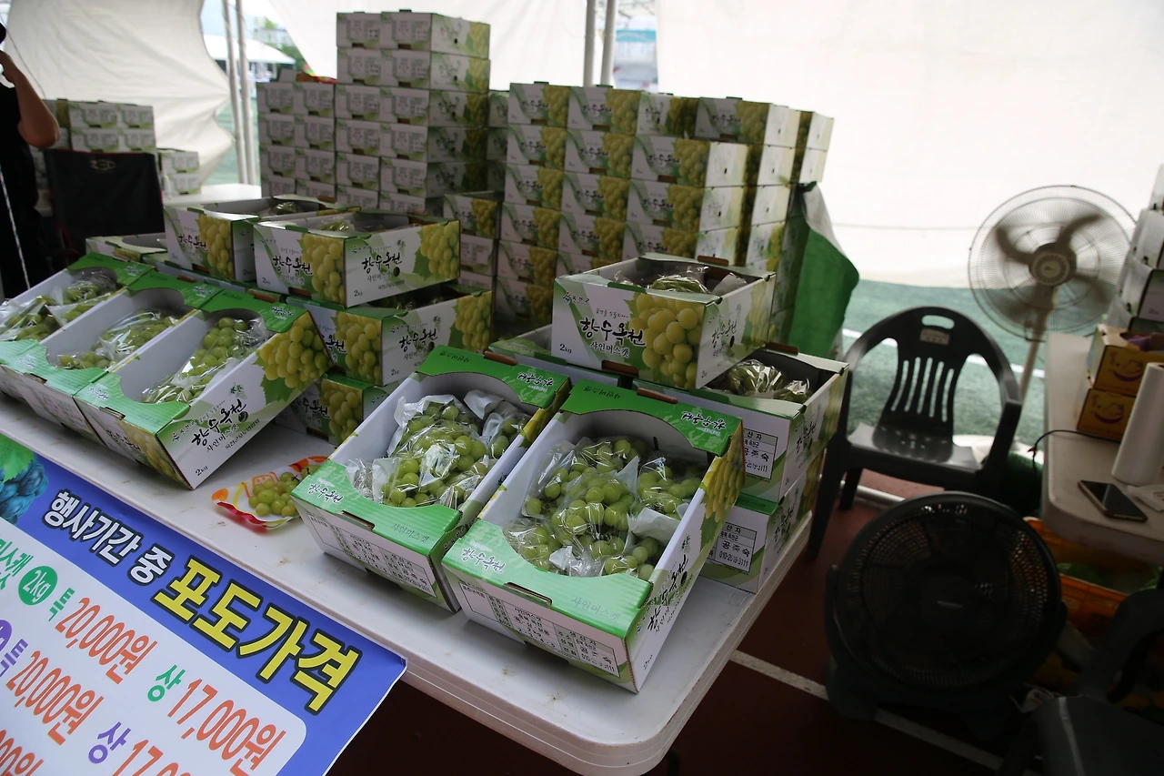 MG0A5699_новый размер.JPG