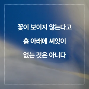 24508D3F57A9A1C3025DC8