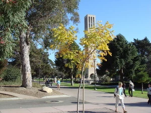 2123594457AD7A12403A40