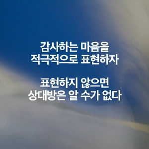 251E304557A9515D26402E