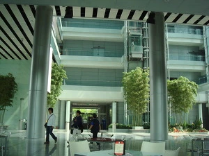 271A9A3557A431402B8E74