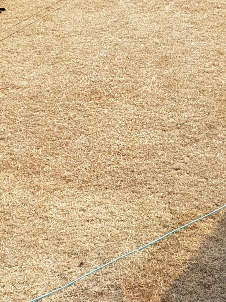 20170318_161112.jpg?type=w773