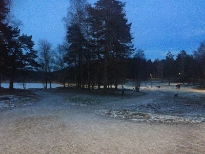 996F9F335A1B5AD93237DB