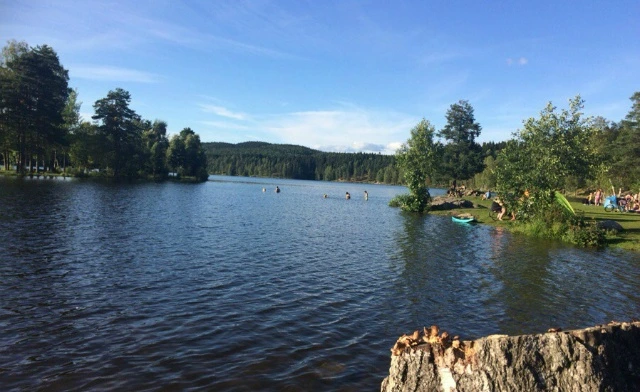 990C063359A30F7B16D97B