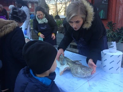 99AA64335A1B531B15EAB8