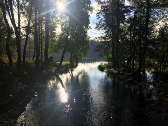 9923603359A30F101356F6