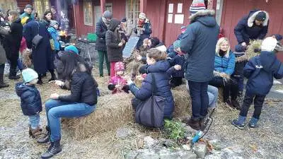 993D24335A1B536E1DE1A6