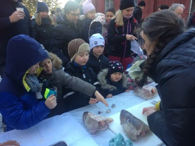 9982D5335A1B531F095B21