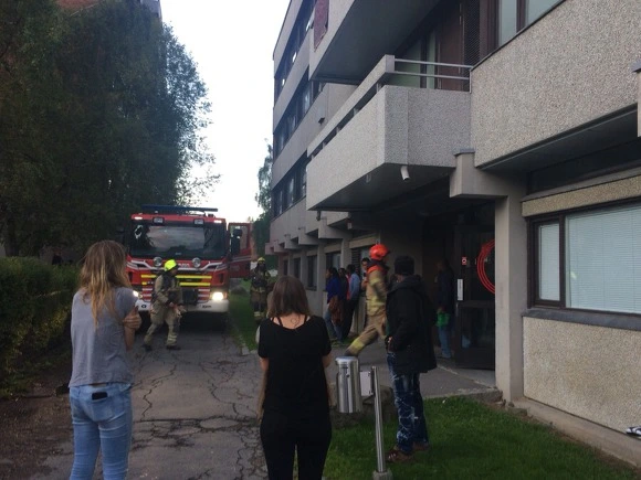 99FE963359B5AA5D04E835