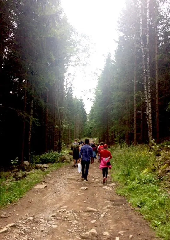 990B953359A3029C020BD1