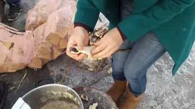 997411335A1B53D921B844