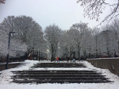 993A0E335A1B268B32F83E