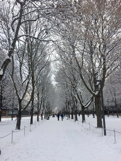 993C51335A1B269032CA17