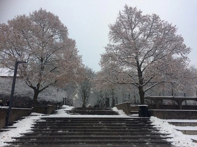 9931E5335A1B268933BDAB