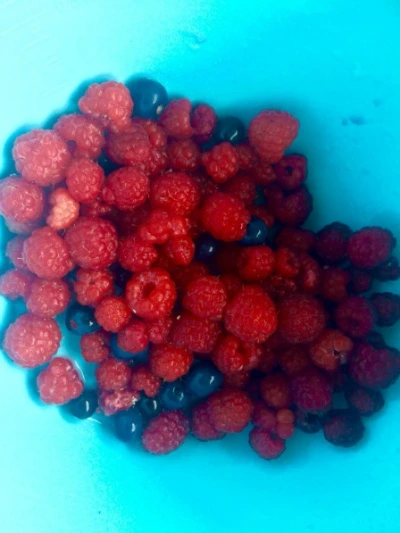 9905E63359A302D4013338