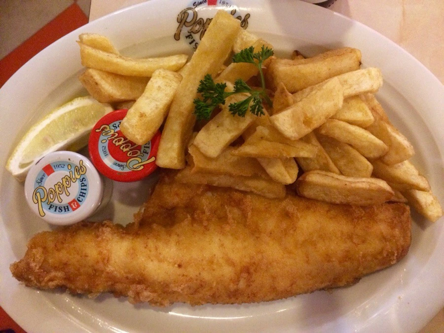 9949283359DB4E8E33E7B7