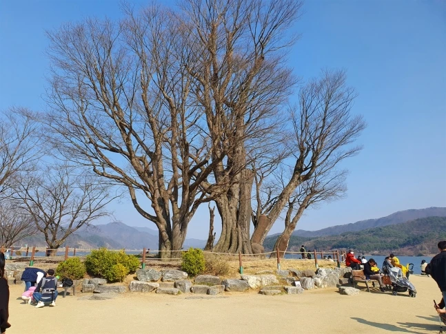 0002307169_004_20210329102333419.jpg?type=w647