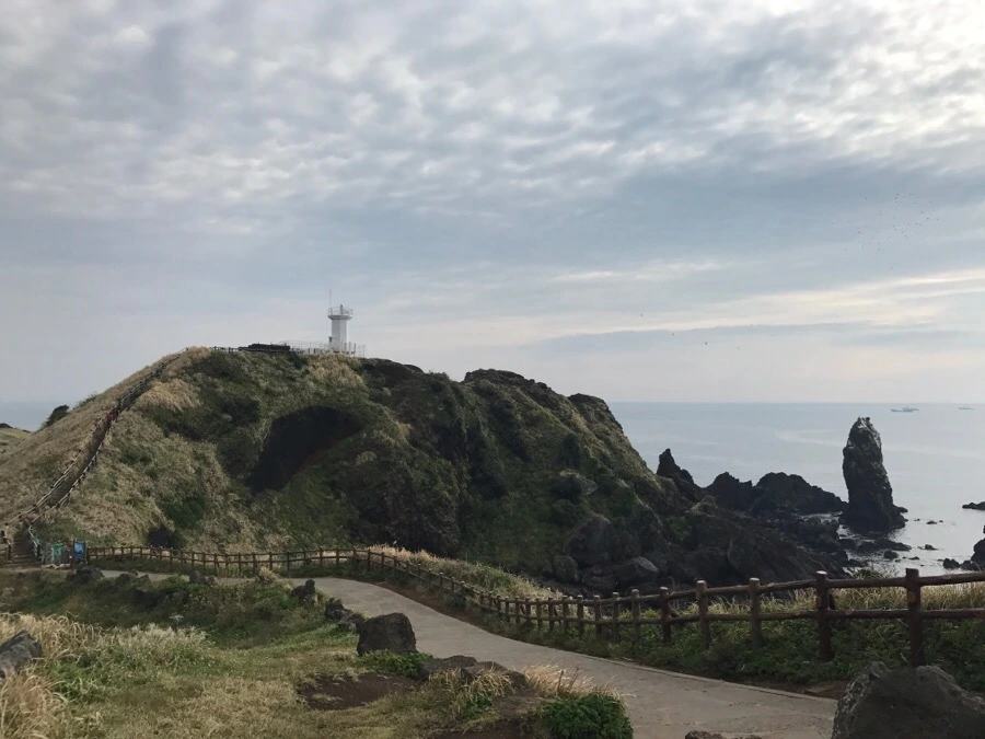 IMG_3312.jpg?type=w966