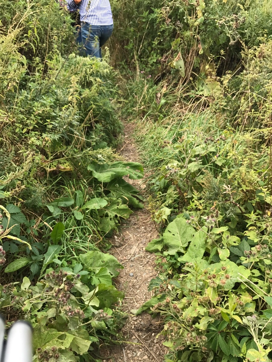 IMG_7824.jpg?type=w966