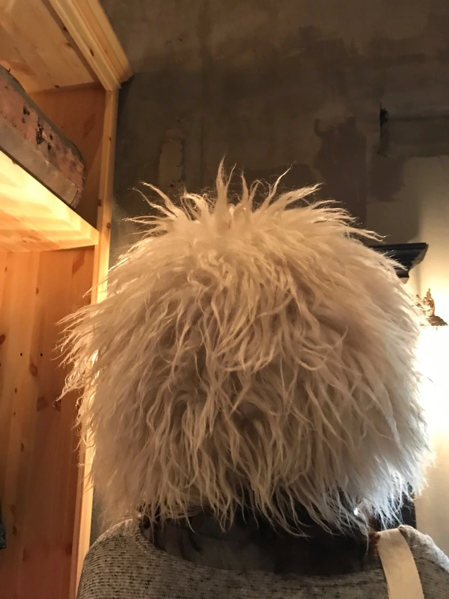 IMG_7719.jpg?type=w966