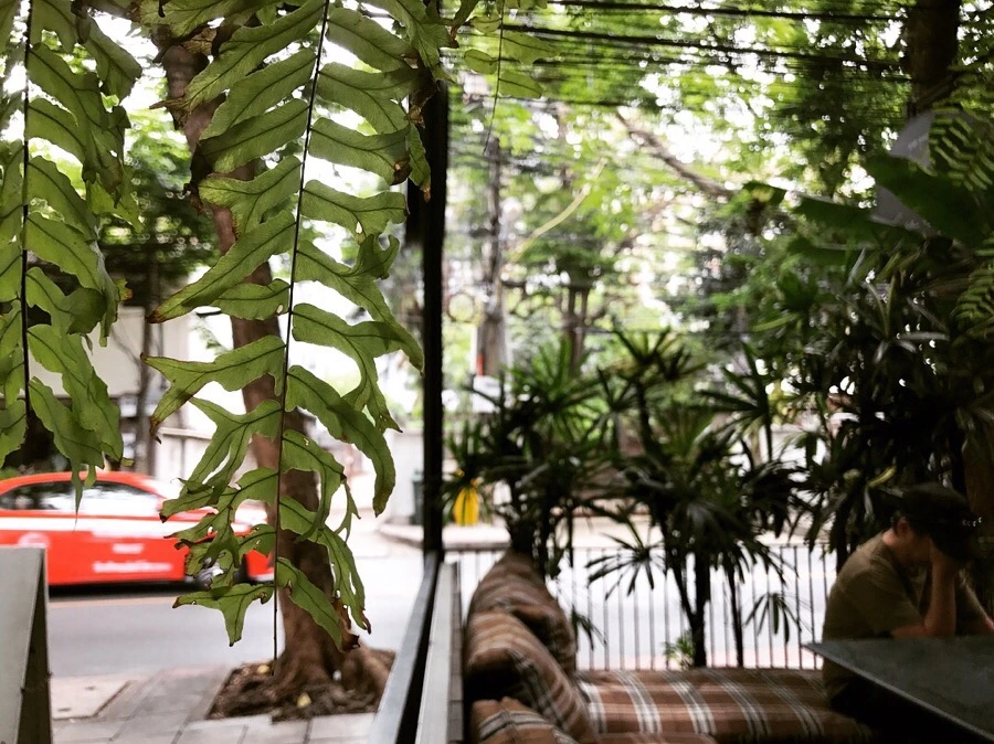 IMG_0339.jpg?type=w966