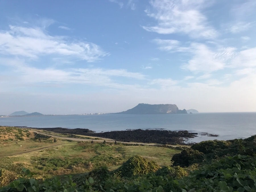 IMG_3289.jpg?type=w966