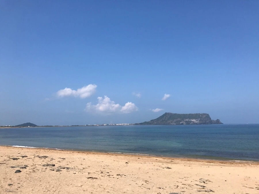 IMG_3095.jpg?type=w966