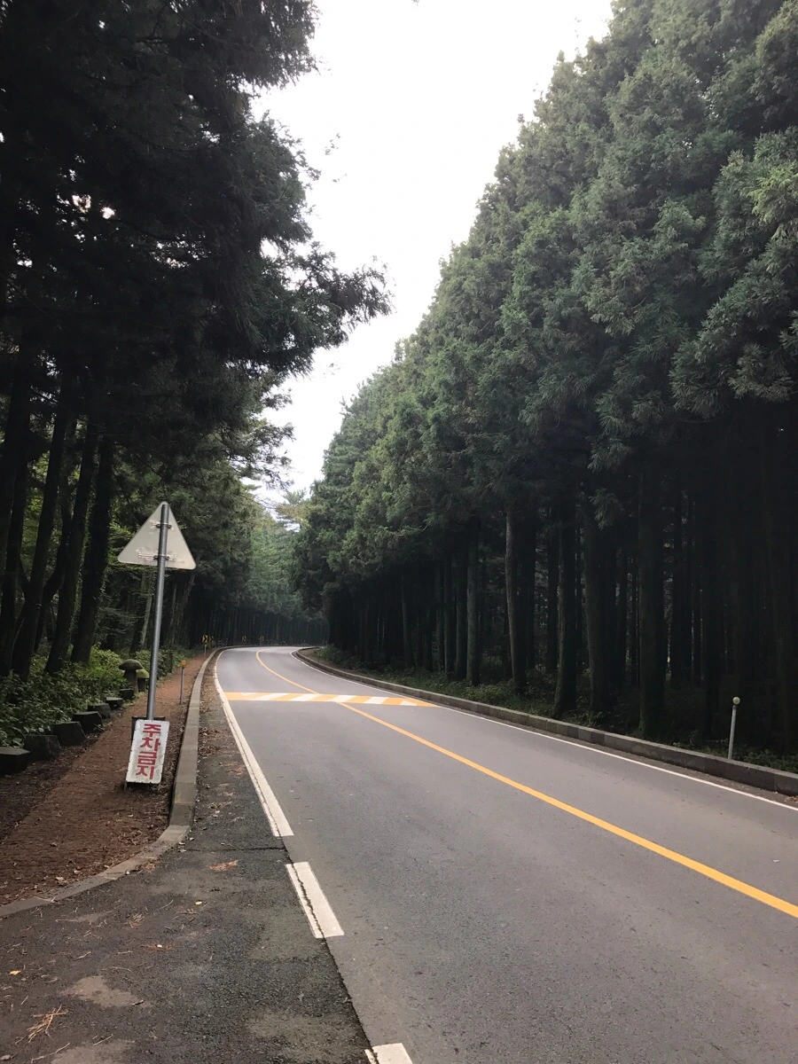 IMG_2884.jpg?type=w966