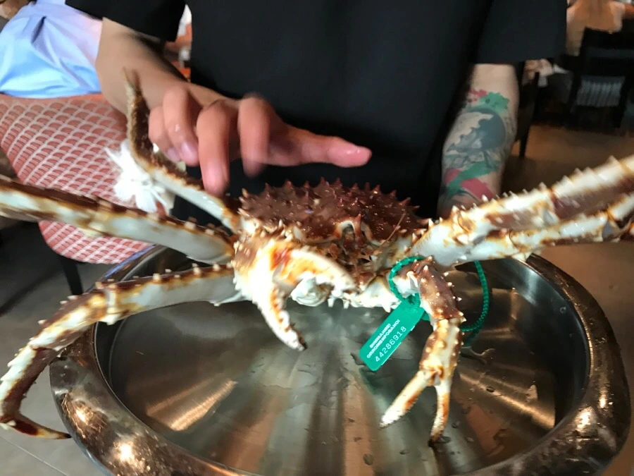 IMG_6859.jpg?type=w966