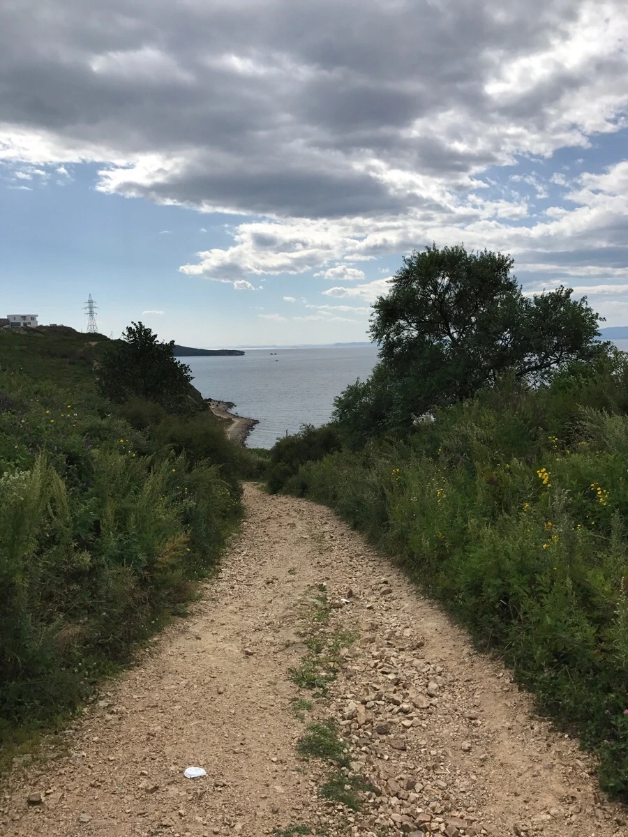 IMG_7841.jpg?type=w966