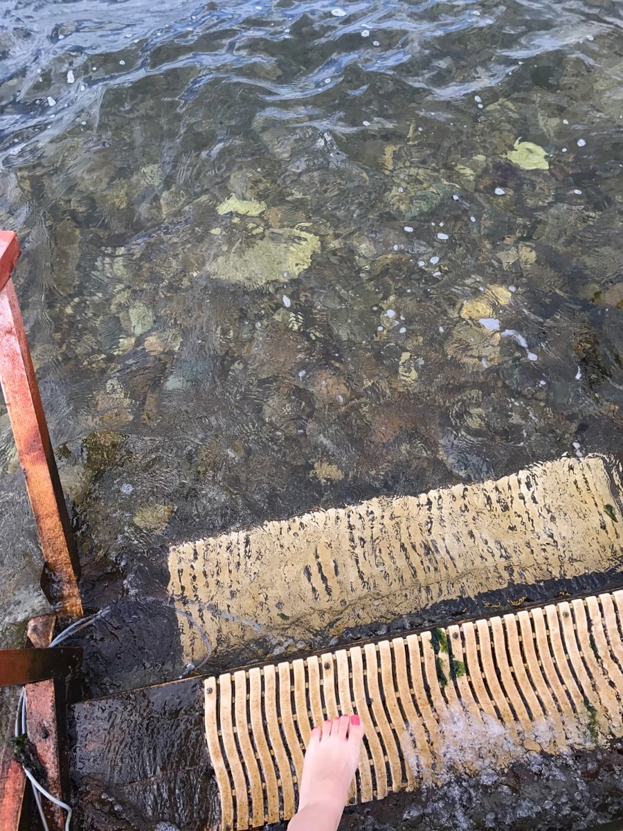 IMG_7920.jpg?type=w966