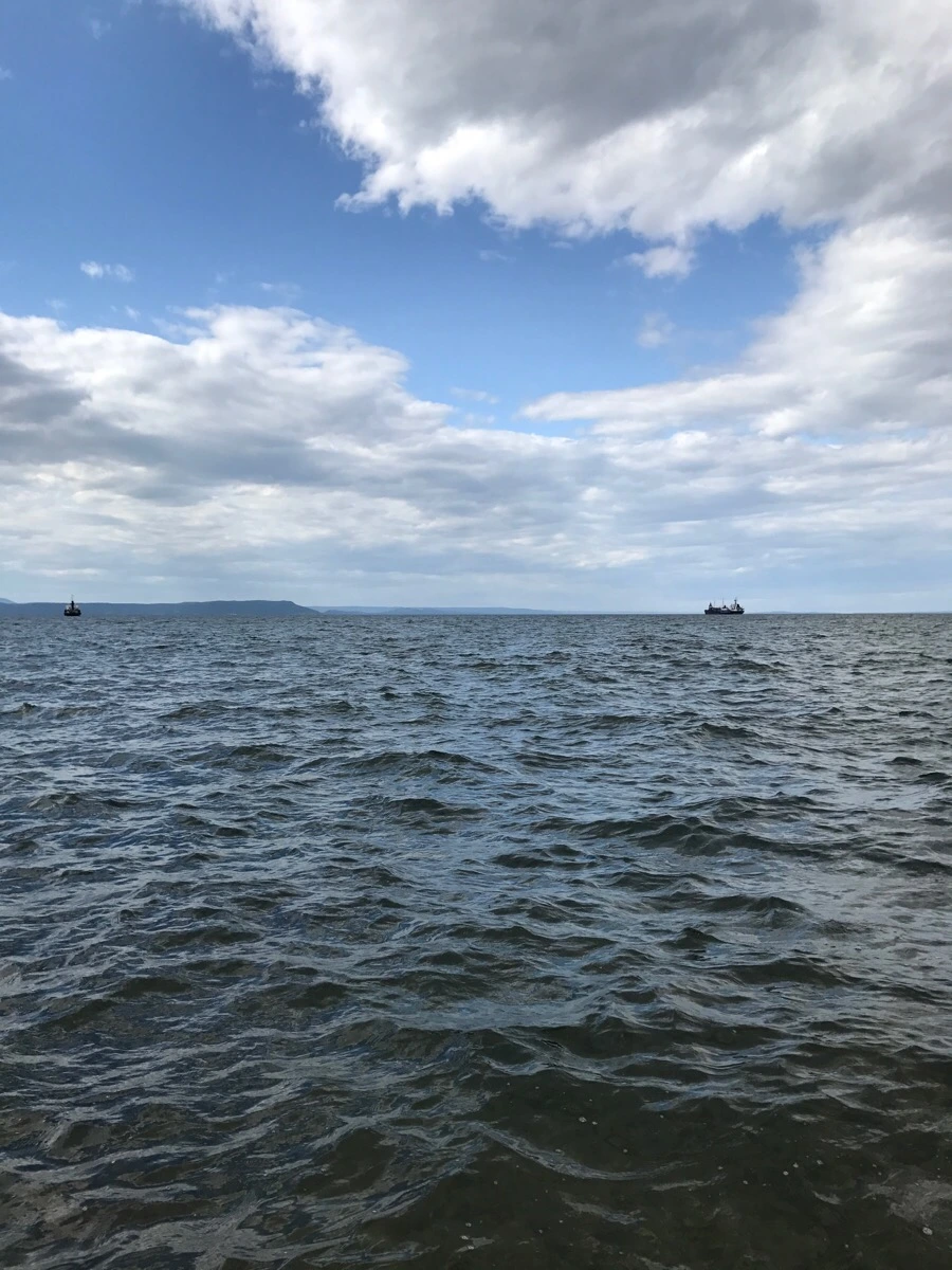 IMG_7922.jpg?type=w966