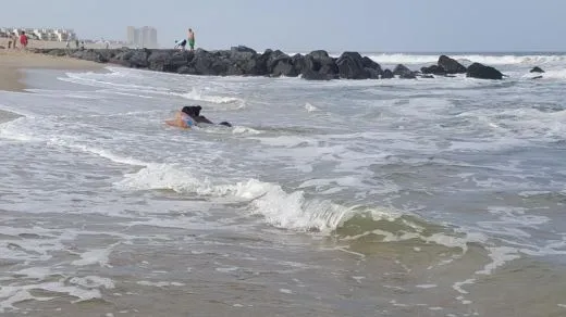 d_4geUd018svc171c2xe36spg0_ehfmr1.jpg?type=w520