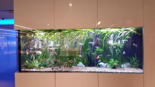 3_d60Ud018svctlr4o4xjjmja_ehfmr1.jpg?type=w520