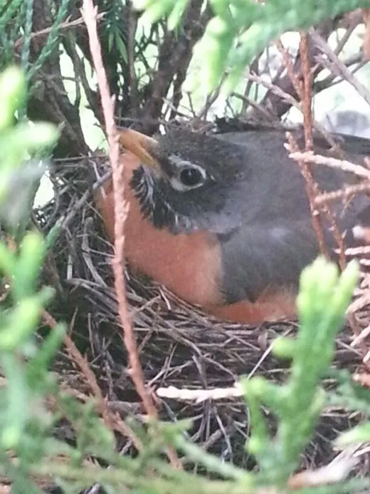 2j8Ud0081eewa91b5msbv_ehfmr1.jpg?type=w520