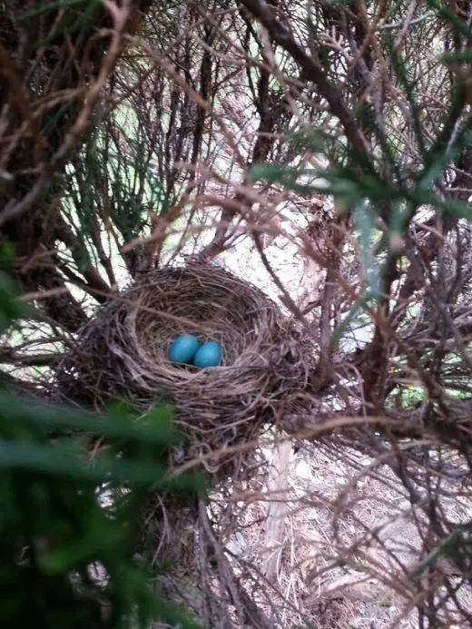 i07Ud008r78173mj0gi9_ehfmr1.jpg?type=w520