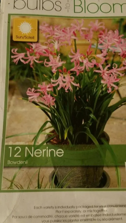 h49Ud0157y8qplulh9c9_ehfmr1.jpg?type=w520