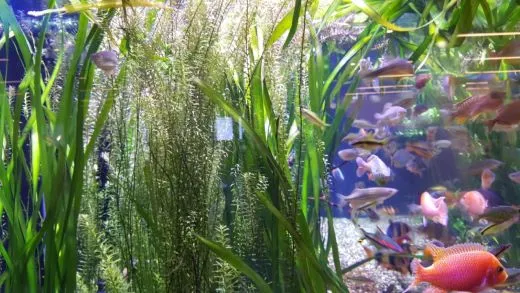 e_264Ud018svc10tf1sh0irzkv_ehfmr1.jpg?type=w520