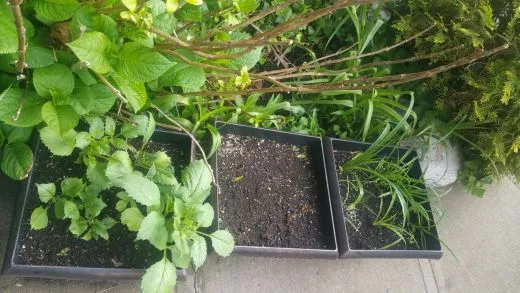 6bdUd015aak9jz0552l5_ehfmr1.jpg?type=w520