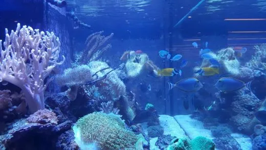 3_c60Ud018svca3agppf39rog_ehfmr1.jpg?type=w520