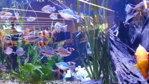 e_064Ud018svcw2zwqokd9eub_ehfmr1.jpg?type=w520