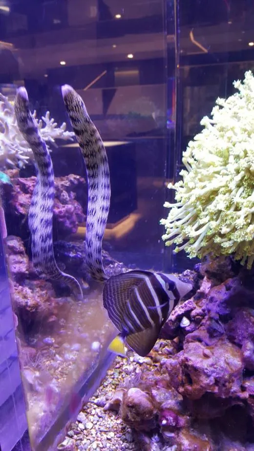 e_164Ud018svc87ek70nrqggi_ehfmr1.jpg?type=w520