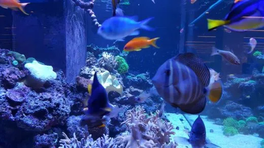 j_d61Ud018svc1m4alg93sqxc9_ehfmr1.jpg?type=w520